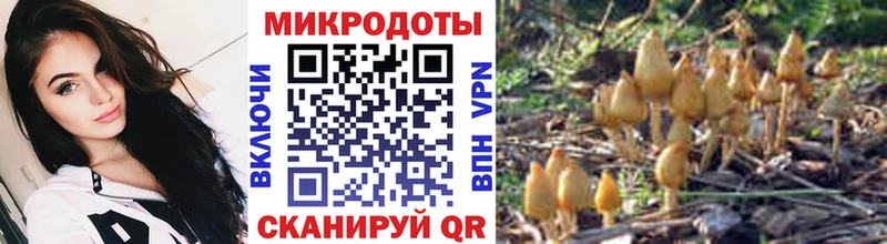 Псилоцибиновые грибы ЛСД  KRAKEN как войти  Курган 